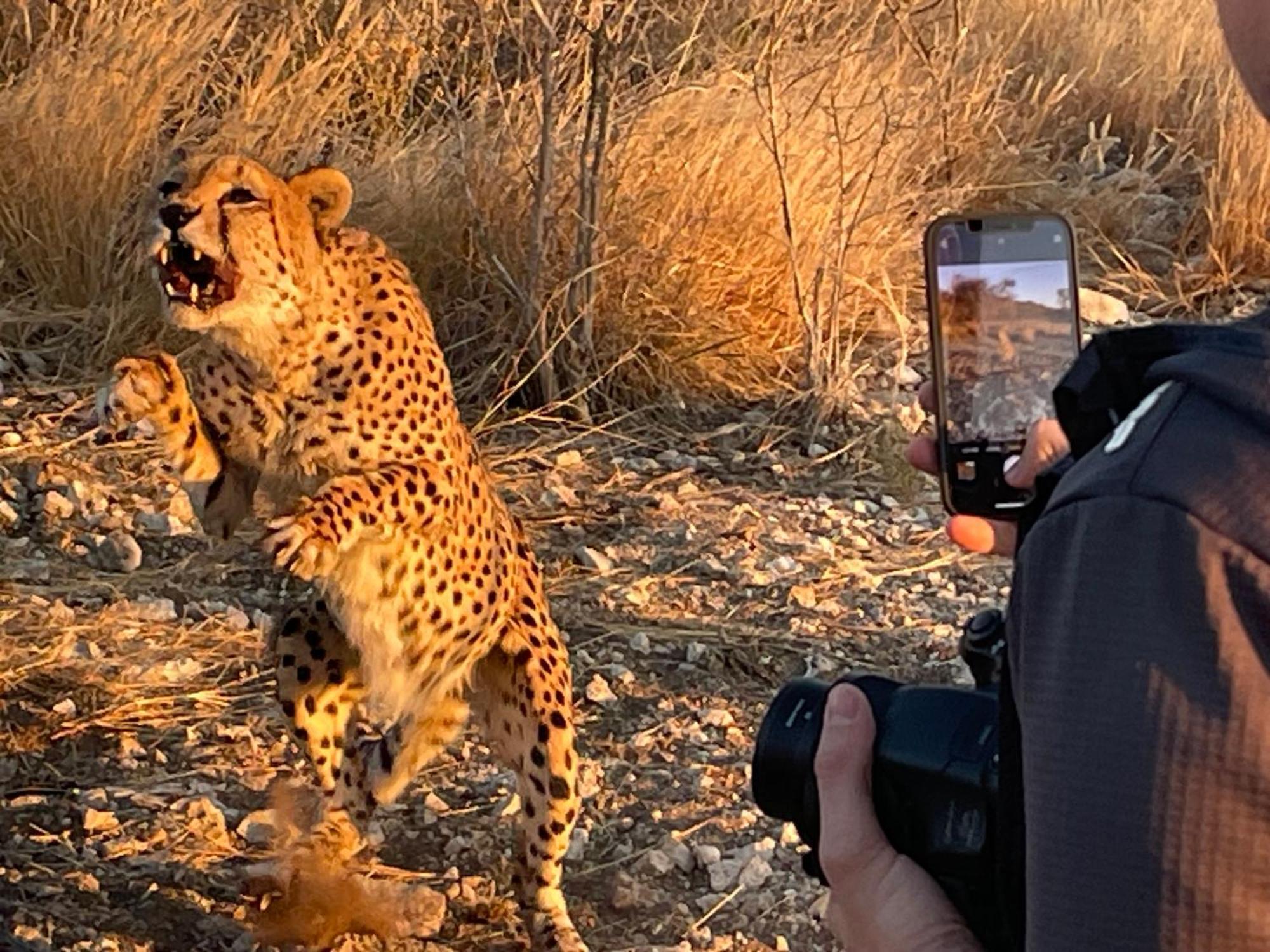 Aloegrove Safari Lodge Очиваронго Екстериор снимка