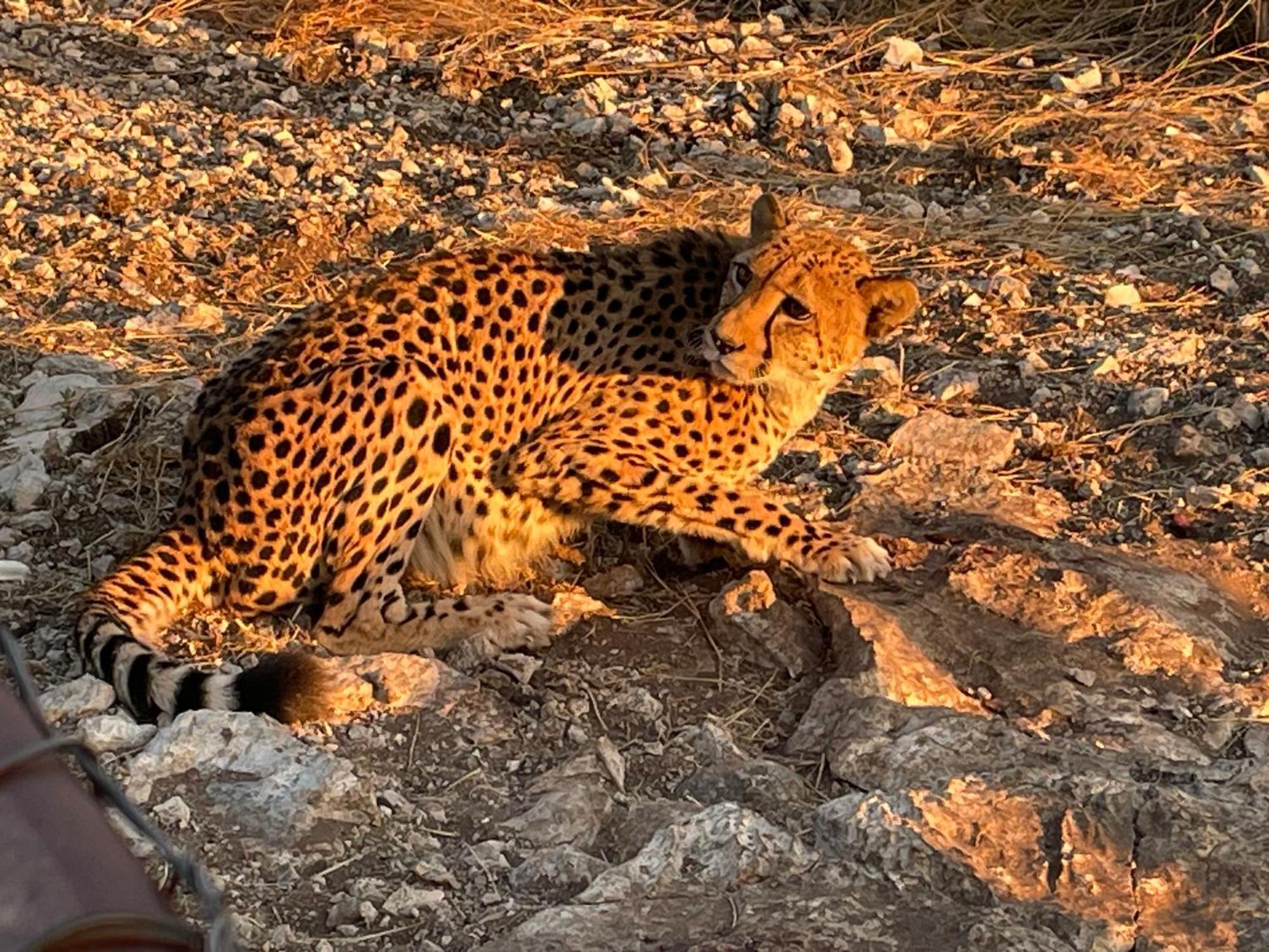 Aloegrove Safari Lodge Очиваронго Екстериор снимка